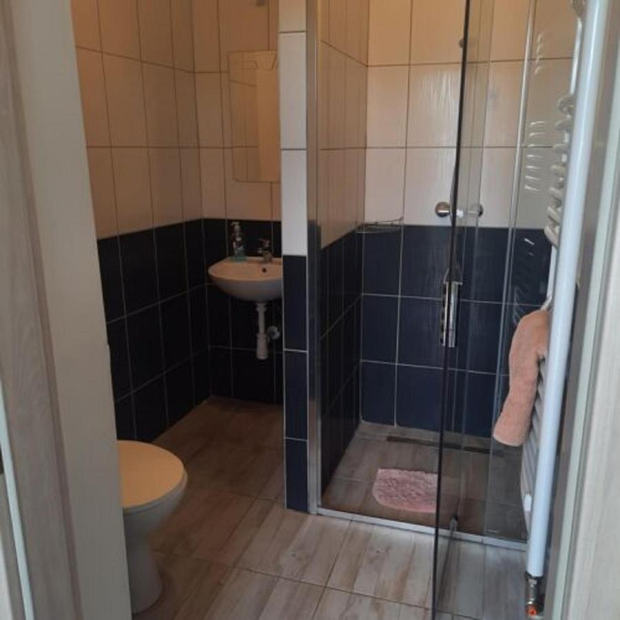 Ikszt Vendeghaz Hotel Dávod Buitenkant foto